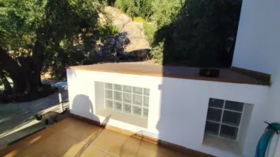 Rustic house in El Pinar photo 8