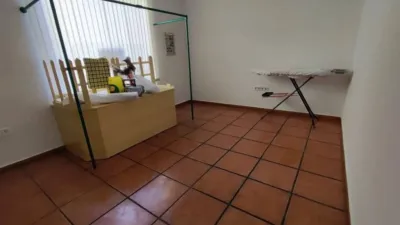 Miniatura 12