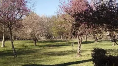 Chalet in Cortiñas (Pereiro de Aguiar) photo 9