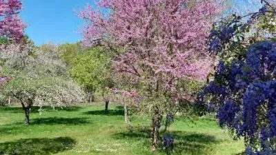 Chalet in Cortiñas (Pereiro de Aguiar) photo 11