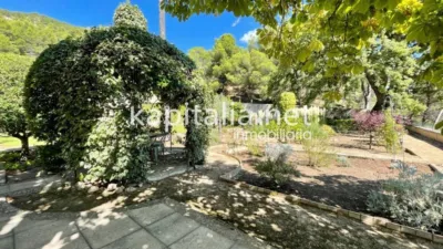 Rustic house in Santa Rosa photo 15