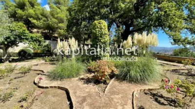Rustic house in Santa Rosa photo 18