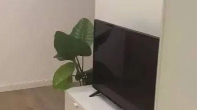 Piso en alquiler en Castellana - Imagen 16