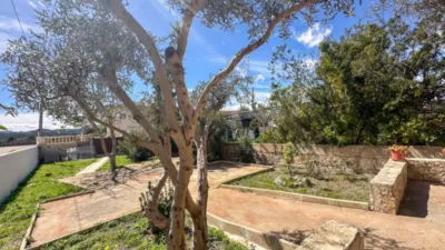House in Pollença photo 8