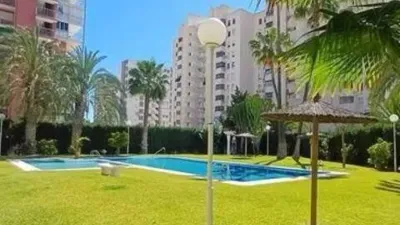 Pis – Alicante - Alacant - Vista 2
