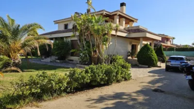 Rustic house in Novelda photo 11