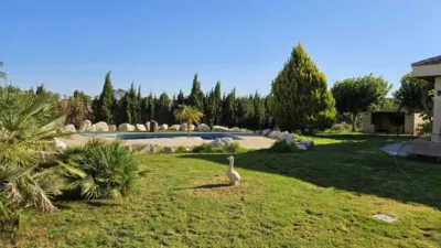 Rustic house in Novelda photo 12