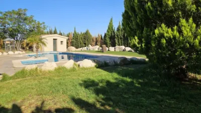 Rustic house in Novelda photo 14