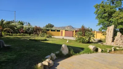 Rustic house in Novelda photo 17