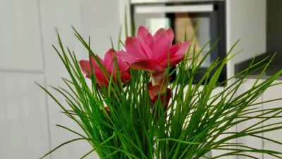 Chalet in Polop photo 18