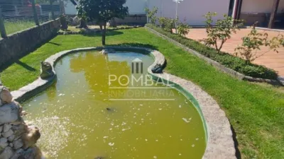 Chalet in O Pereiro de Aguiar photo 8
