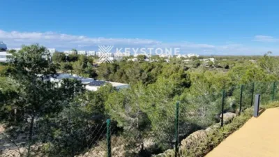 Attic in Orihuela photo 25