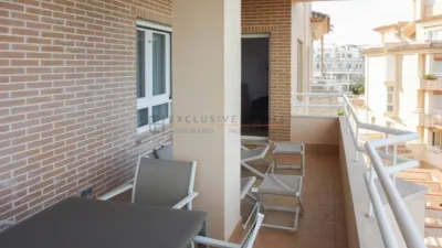 Apartment in Oliva Nova photo 13