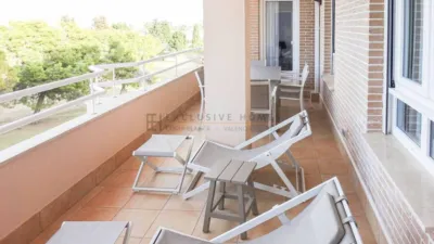 Apartment in Oliva Nova photo 3