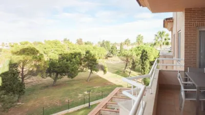 Apartment in Oliva Nova photo 4