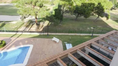 Apartment in Oliva Nova photo 5