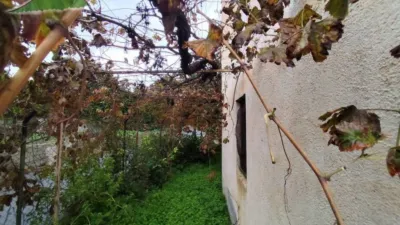Rustic house on Antonio Machado Street photo 8