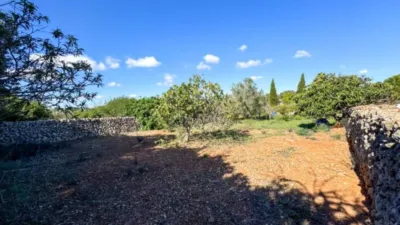 Chalet in Santa Margalida photo 12