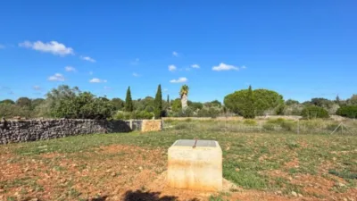 Chalet in Santa Margalida photo 15