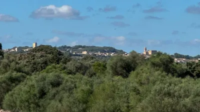 Chalet in Santa Margalida photo 18