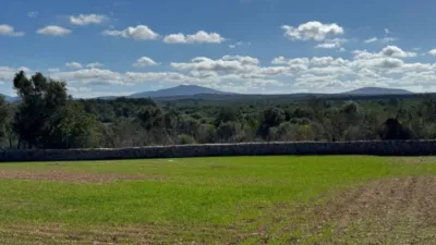 Chalet in Santa Margalida photo 19
