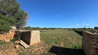 Chalet in Santa Margalida photo 3