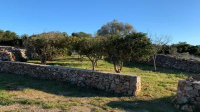 Chalet in Santa Margalida photo 5