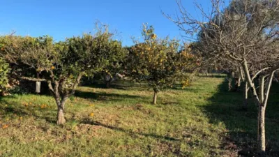 Chalet in Santa Margalida photo 8