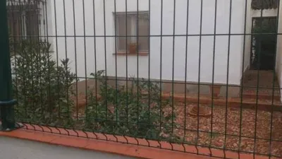 Miniatura 7