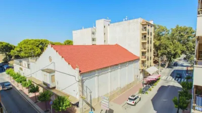 Apartment in Guardamar del Segura photo 26