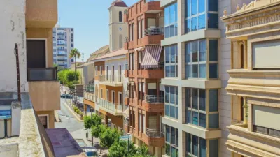 Apartment in Guardamar del Segura photo 28