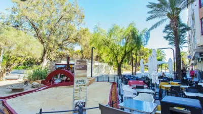 Apartment in Guardamar del Segura photo 48