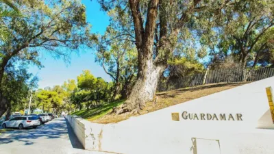 Apartment in Guardamar del Segura photo 49