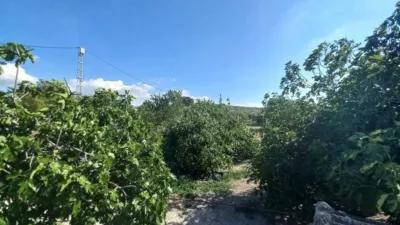Rustic house in Media Panilla photo 16