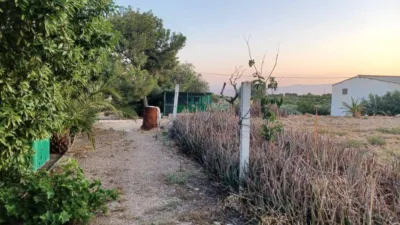 House in La Hoya-Almendricos-Purias photo 3