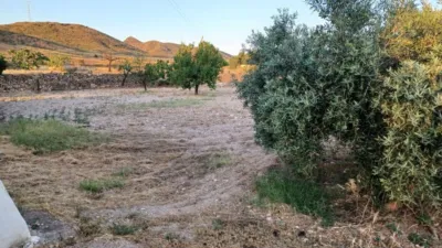 House in La Hoya-Almendricos-Purias photo 5