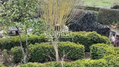 House in Trasmiras photo 21