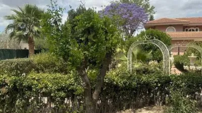 Chalet in Callosa de Segura photo 3