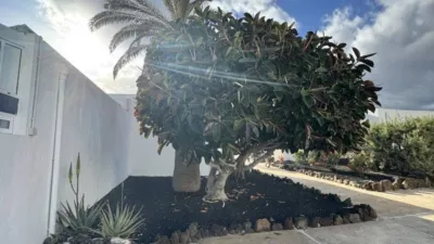 Piso en alquiler en Arico, Arico de 850 €<span>/mes</span>