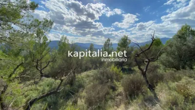 Terreno en venta en Millena - Vista 4