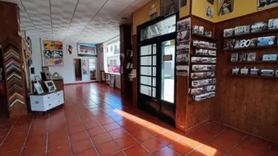 Miniatura 11