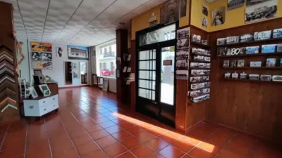Miniatura 10