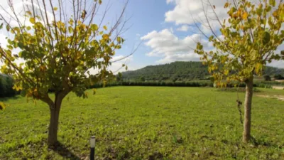 Chalet in Ciutat d'Alcúdia photo 43