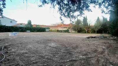 Miniatura 8