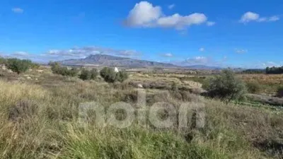 Terraced house in Jumilla photo 9