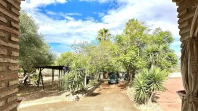 Rustic House in Cortijo de La Torre photo 22