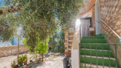 House in Paterna de Rivera photo 16