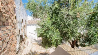 House in Paterna de Rivera photo 17