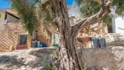 House in Paterna de Rivera photo 3
