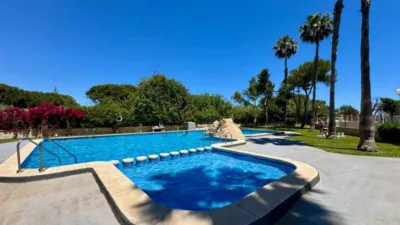Apartment in Guardamar del Segura photo 36